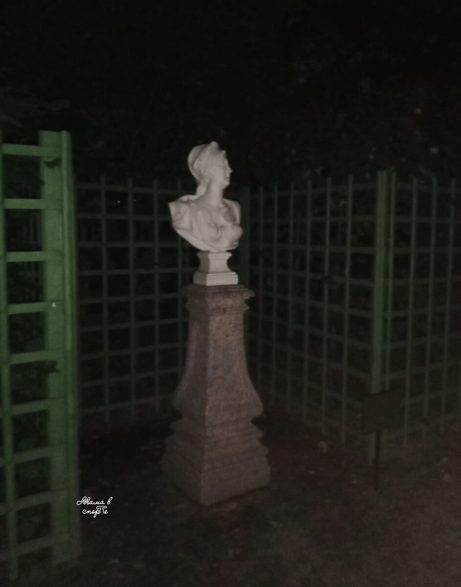 В Летнем саду.