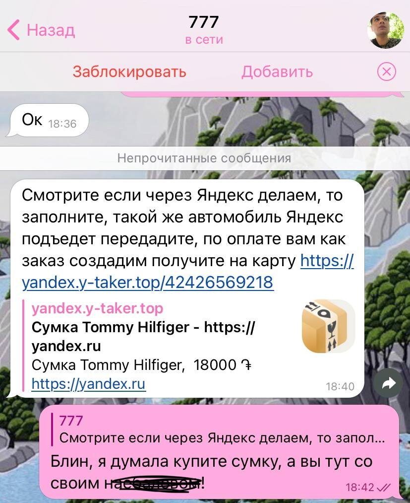 Осторожно, мошенники! Как в Армении разводят на деньги в Telegram-чатах |  Карманный Ураган 🌪 Дина Тарини | Дзен