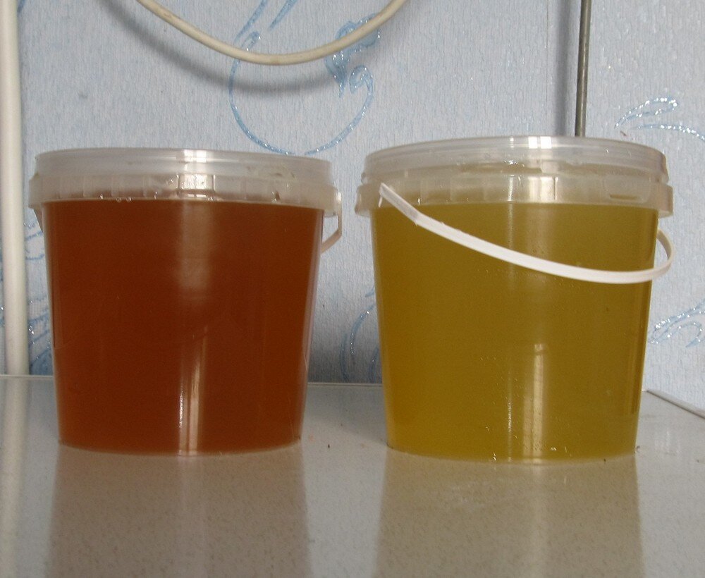 Мёд разных сортов.