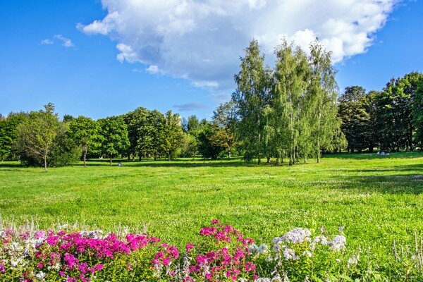 Чтобы сделать большое дело недостаточно просто знать куда приложить  усилия и делать это умеючи, необходимо ещё найти помощников и придумать  как его сделать так, чтобы они считали дело своим, могли его делать  совместными усилиями, самостоятельно и отвечать за сделанное ... ...   

Парк 50-летия Октября, Москва ...   

  