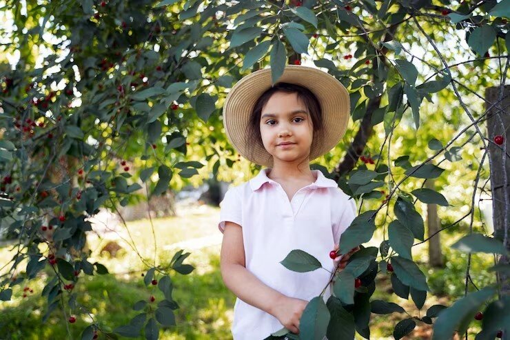 Из открытого источника freepik.com