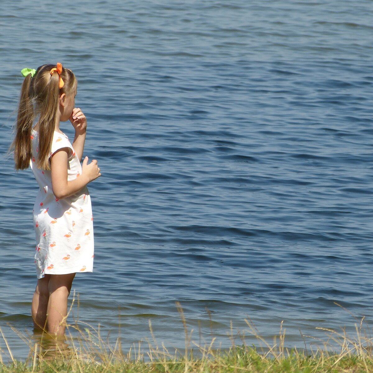 Прям Ассоль, ждет свои Алые Паруса)) Фото мое.