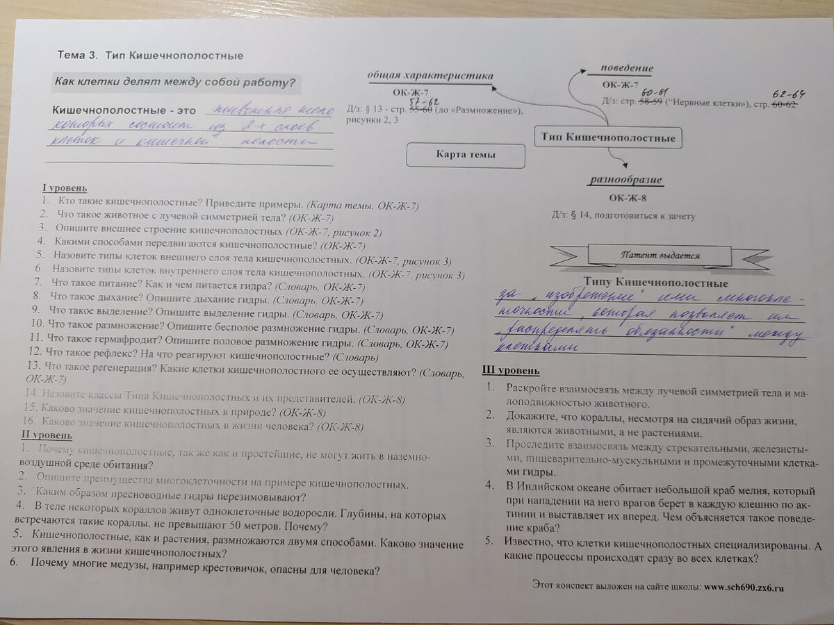 Урок зоологии. Кишечнополостные, или Как клетки делят между собой работу |  Елена Сова: пуд соли в школе | Дзен