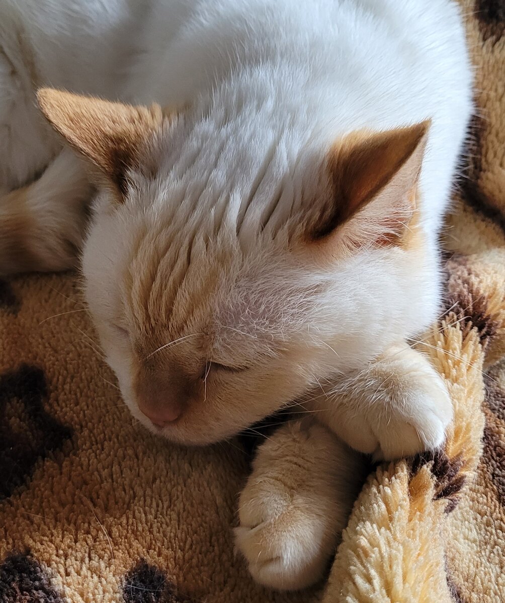 не кантовать!