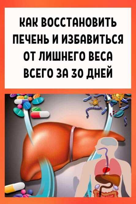 Несмотря на то, что за переваривание жиров отвечает желудок, не стоит забывать, что эта деликатная и сложная задача адекватно выполняется только при нормальном функционировании печени и желчного пузыря. Это связано с выработкой желчи.Если же печень не работает «в штатном режиме», то жиры просто не усваиваются и не выводятся должным образом из организма. В добавок ко всему замедляется метаболизм, а это приводит к избыточному скоплению токсинов в теле.Поэтому можно сказать, что здоровая печень — это синоним крепкого здоровья и хорошего самочувствия. А чтобы обеспечить необходимый уход самому большому внутреннему органу нашего тела, важно правильно питаться и вести здоровый образ жизни. Сегодня мы хотим предложить вашему вниманию план здорового питания.Если же вы сможете при этом придерживаться диеты с низким содержанием жиров, будете уделять свое свободное время физической активности и забудете о таких вредных привычках, как курение, то уже через 30 дней вы будете приятно удивлены изменениями, произошедшими с вашим телом.7 продуктов, которые очищают печень и помогают похудеть1. По одному грейпфруту в деньГрейпфрут — это просто идеальный продукт для здоровья печени. Высокое содержание в нем витамина С и антиоксидантов способствует естественным очищающим функциям печени.Было бы здорово, если бы за завтраком вы ежедневно пили свежевыжатый сок из грейпфрута. Это очень поможет как иммунной, так и пищеварительной системе вашего организма, вы сразу почувствуете легкость и заряд бодрости.2. АвокадоЭтот фрукт — богатый источник жирных кислот Омега-3. Они полезны для сердца, а еще способствуют выработке глутатиона — соединению, которое помогает разрушать жиры и токсины.