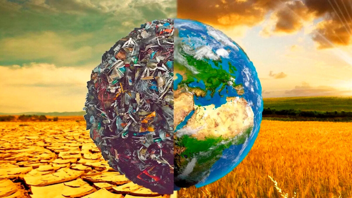 5 проблем экологии, на которые мы можем повлиять в повседневной жизни |  Эко-сознание и Устойчивое Будущее | Дзен