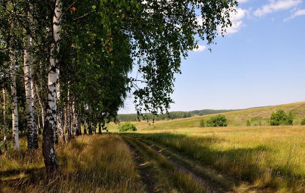 Природа орловской области проект И.С.Тургенев. Природа России. Создано в России Дзен