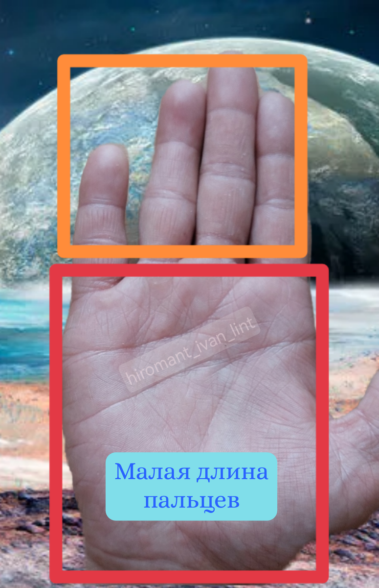 Ладонь значительно длиннее пальцев 