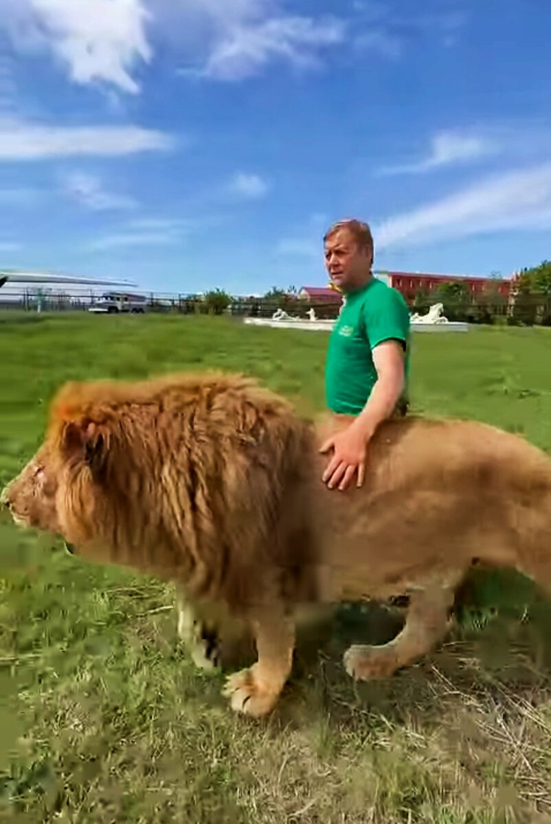 Человек-лев