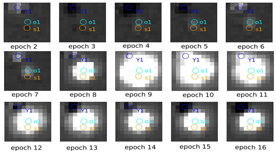   Tinggui Wang et al. / arXiv, 2023