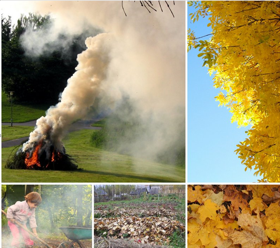 Типичная картинка – дымище столбом и незадачливые родители с чуством выполненного долга по сжиганию легких малышей. Фото взяты из открытых источников.