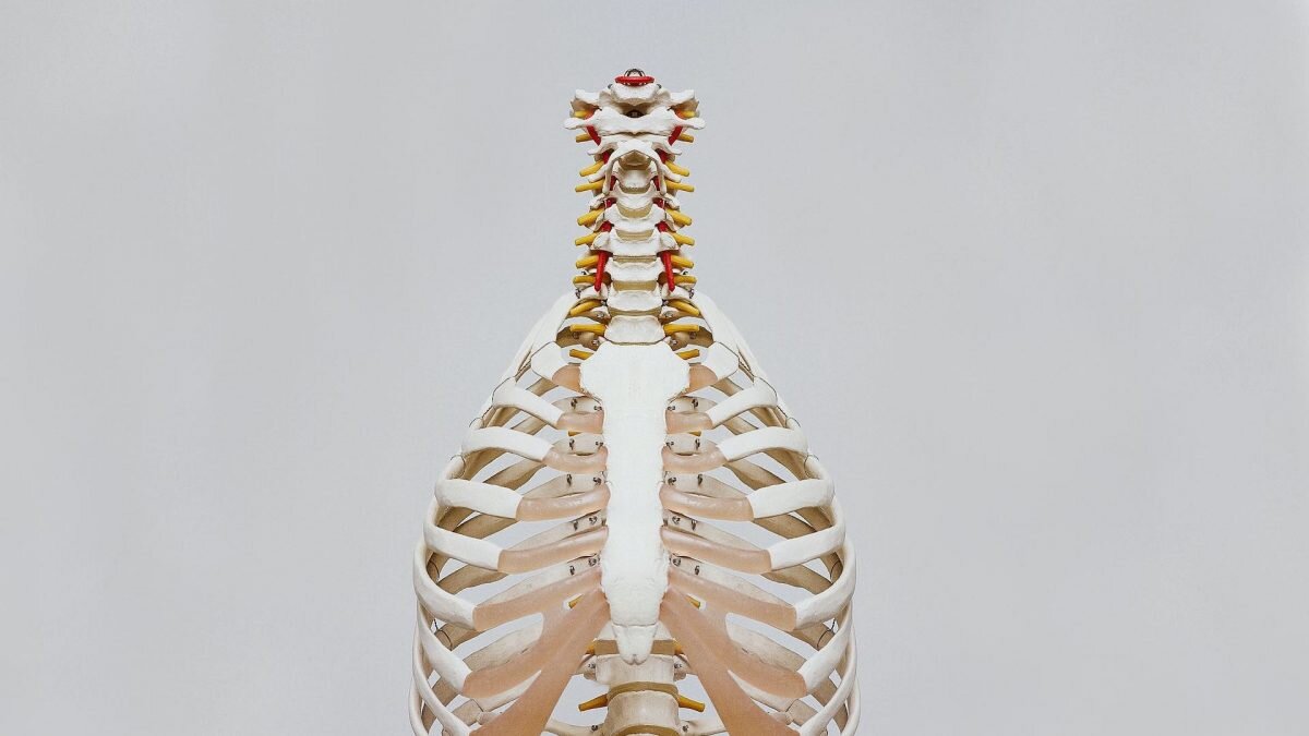    Фото: Unsplash Август Макаров