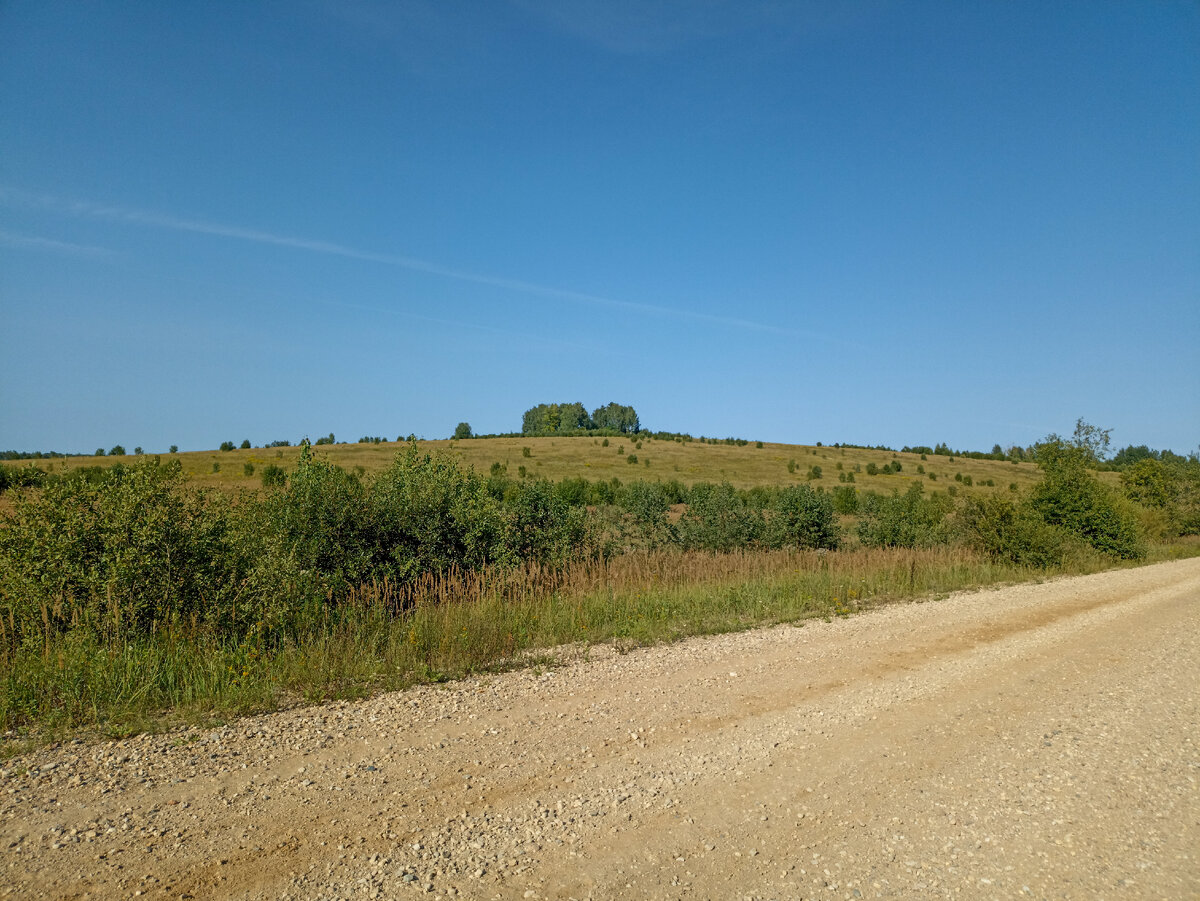 Она из дорог длинной дороги