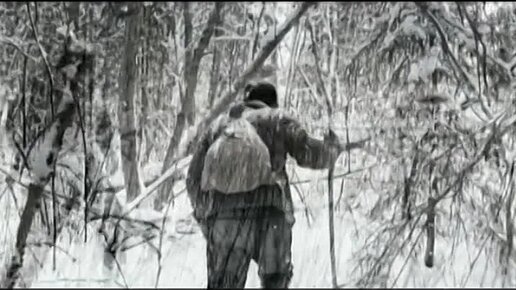 Alkopg Опг Скачать | Дзен