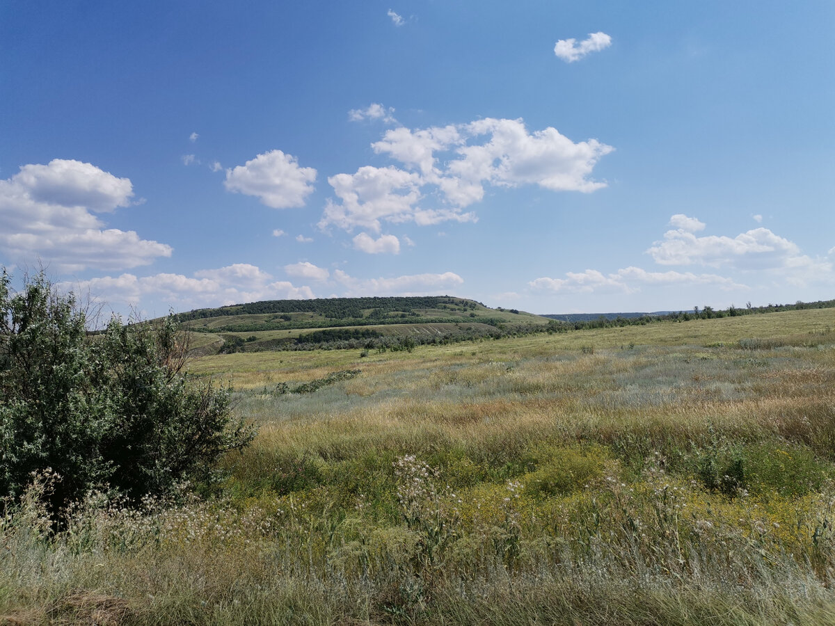 Скоро в отпуск, пересматривала фото из личного архива, взгрустнулось