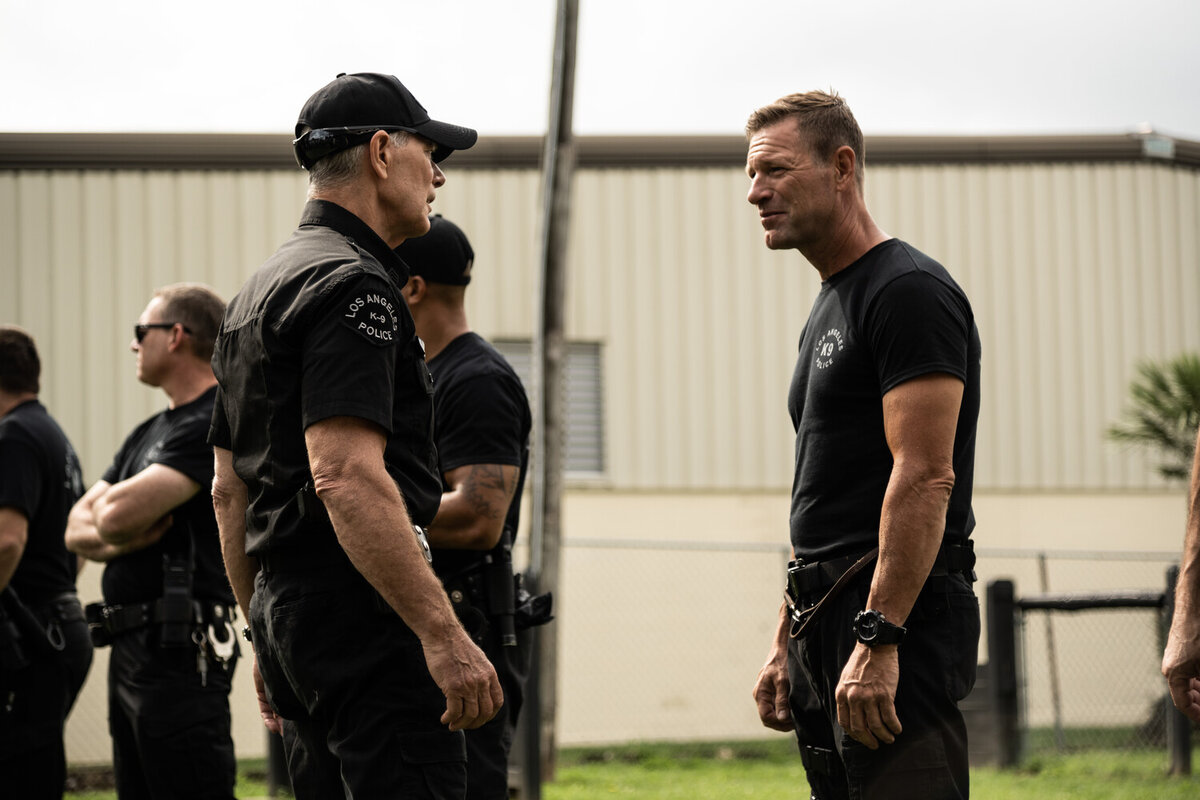 доберман оскал. страшный намордник для собаки. доберман в наморднике оборотень. доберман в наморднике с клыками. клык muzzle.