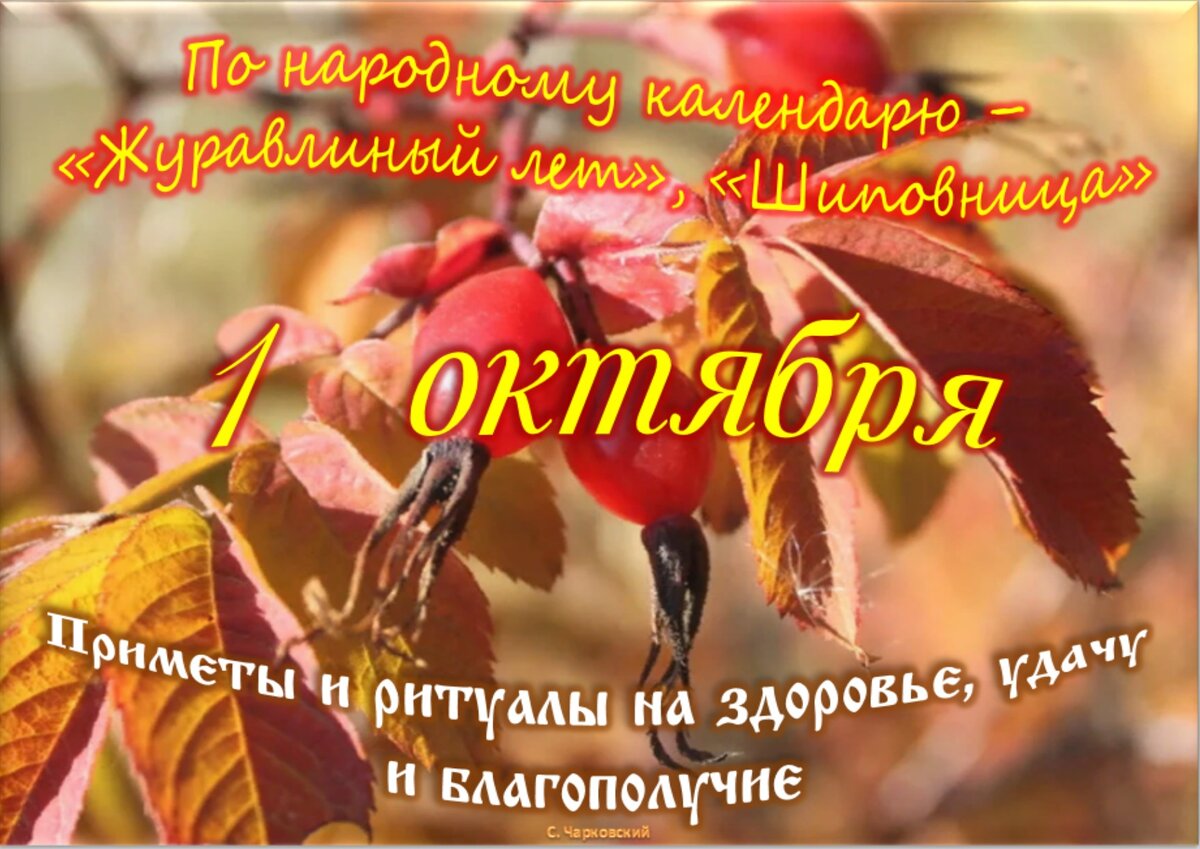 Встречаем новый день