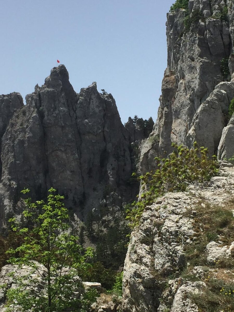 Вот они, "Зубья дракона"