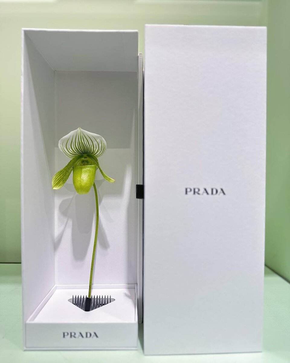 Prada