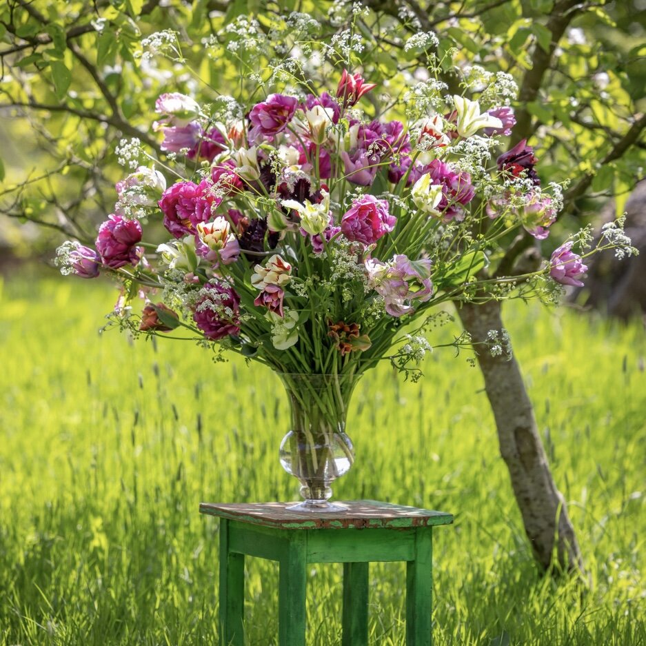 Коллекция тюльпанов от английского продавца Сары Равен: ‘Green Spirit’, ‘Slawa’, ‘Blue parrot’, ‘Margarita’, ‘Grand Perfection’