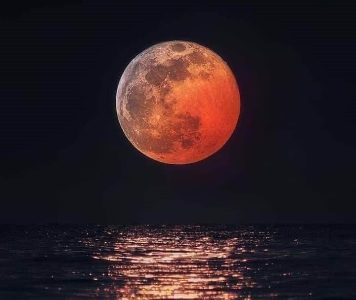 фото и з свободных источников