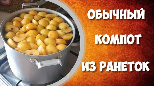 Обычный компот из ранеток или яблок.