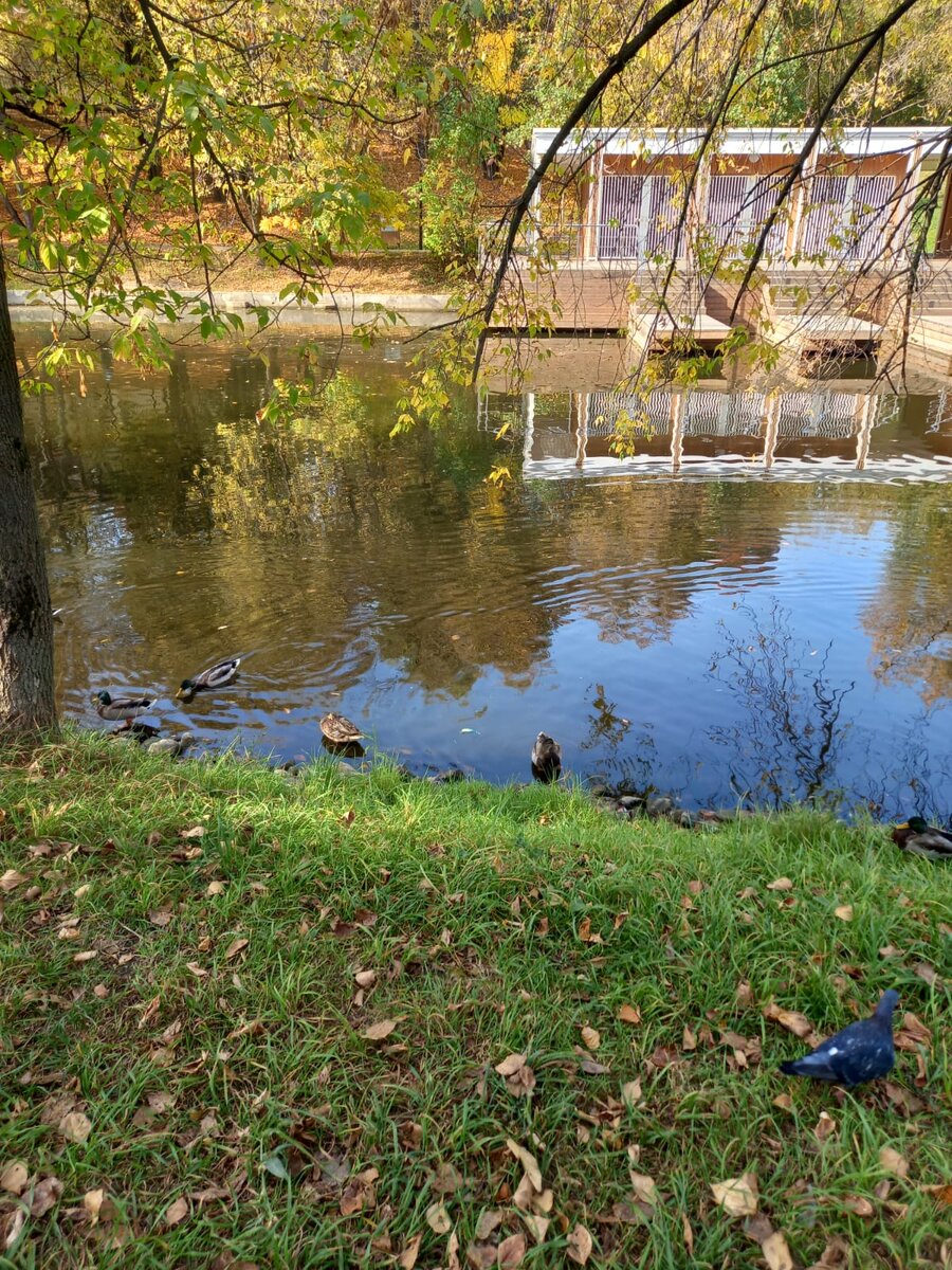 Фото автора.