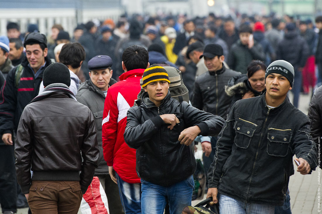 Ежедневно на территорию России въезжает более тысячи мигрантов.