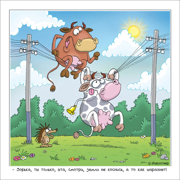 фото с просторов интернета