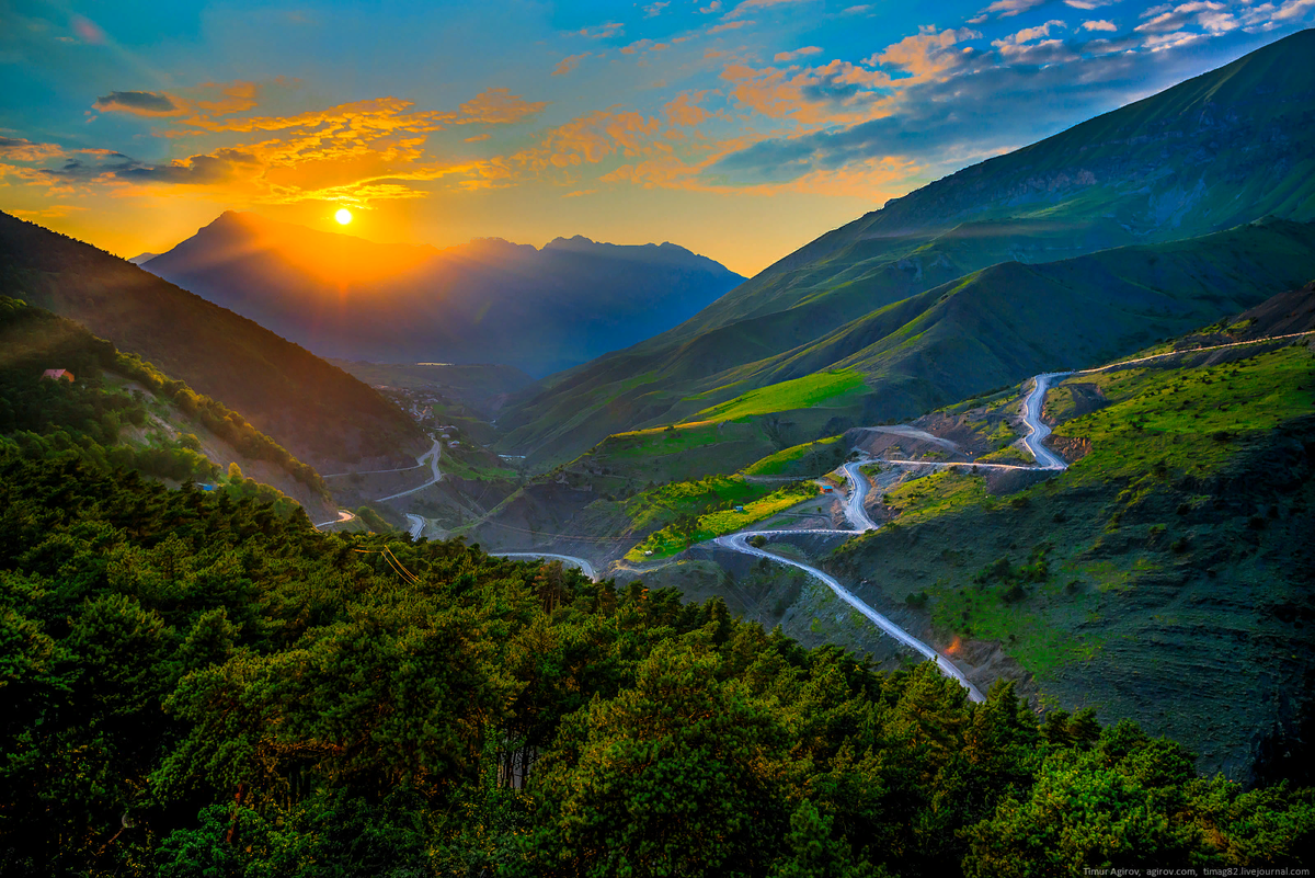 Фото из интернета