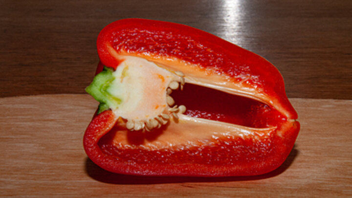 ФОТО: SVETLANA VOZMILOVA/GLOBALLOOKPRESS