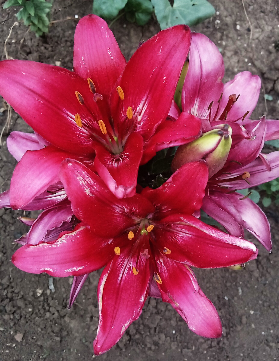 Фото автора канала.