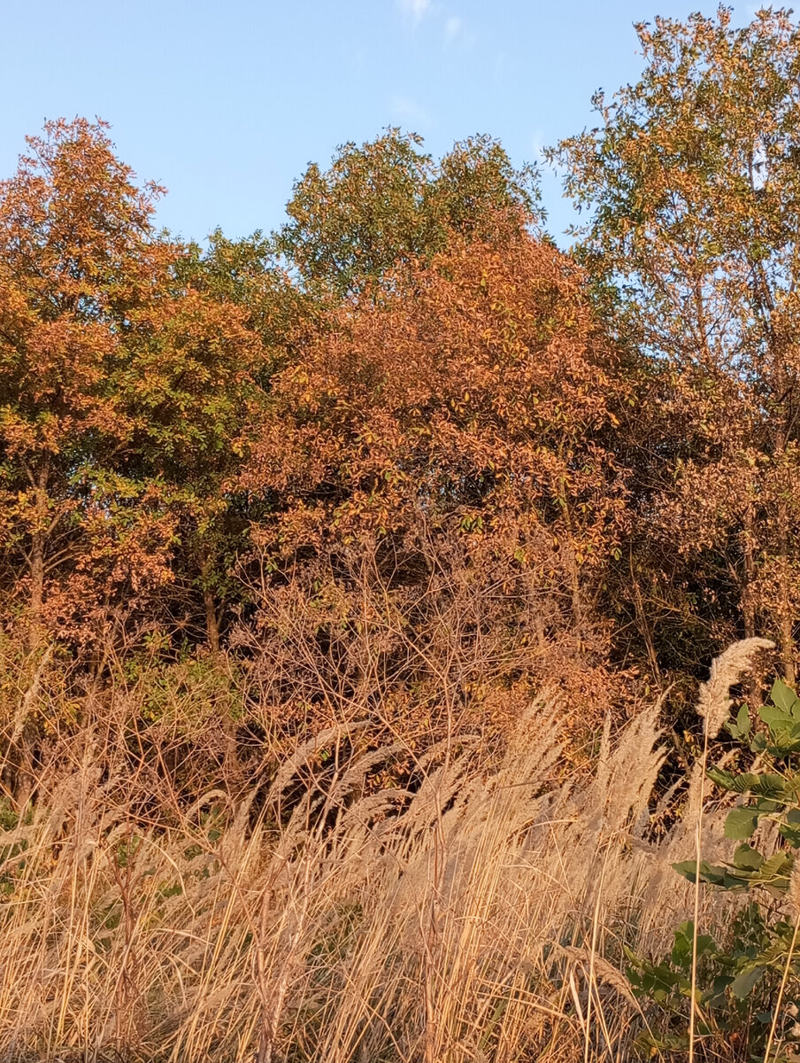 Фото автора. 