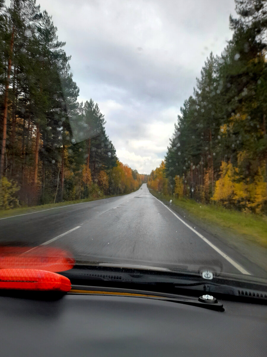 "Доброе утро, мир! Ты прекрасен!" Фото  автора