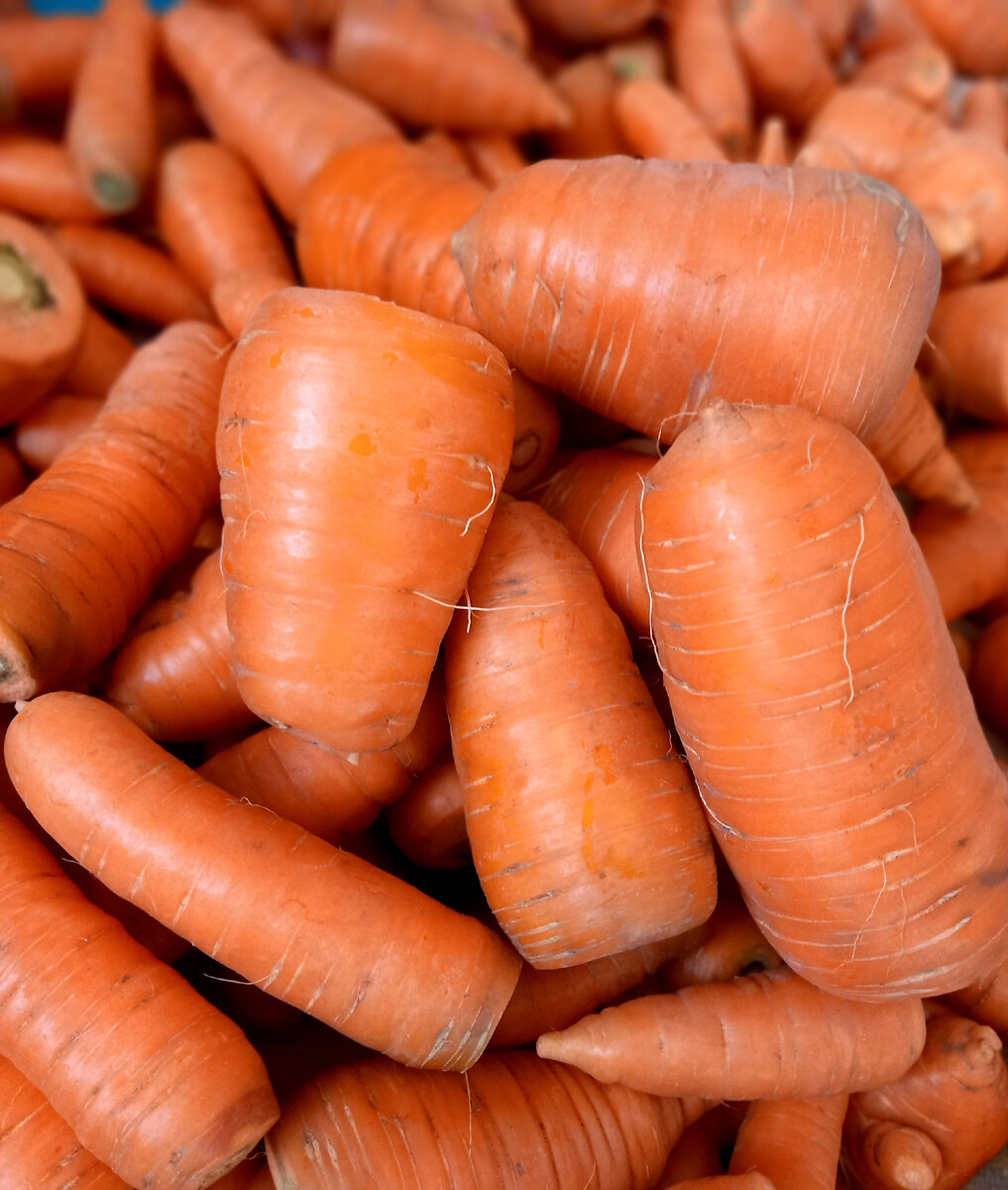 Прямо с грядки