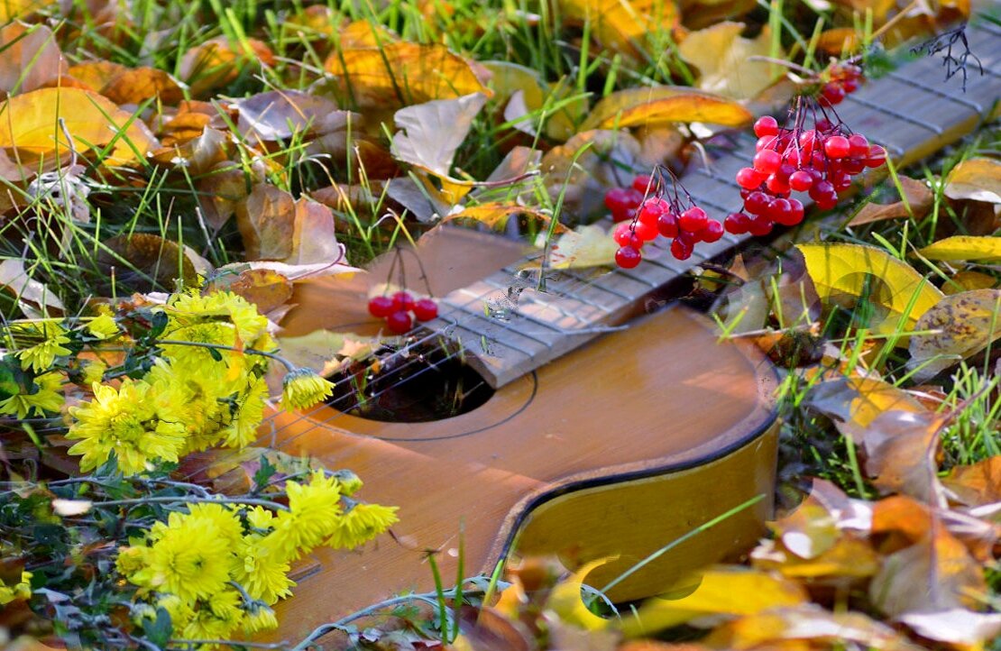 Фото для превью