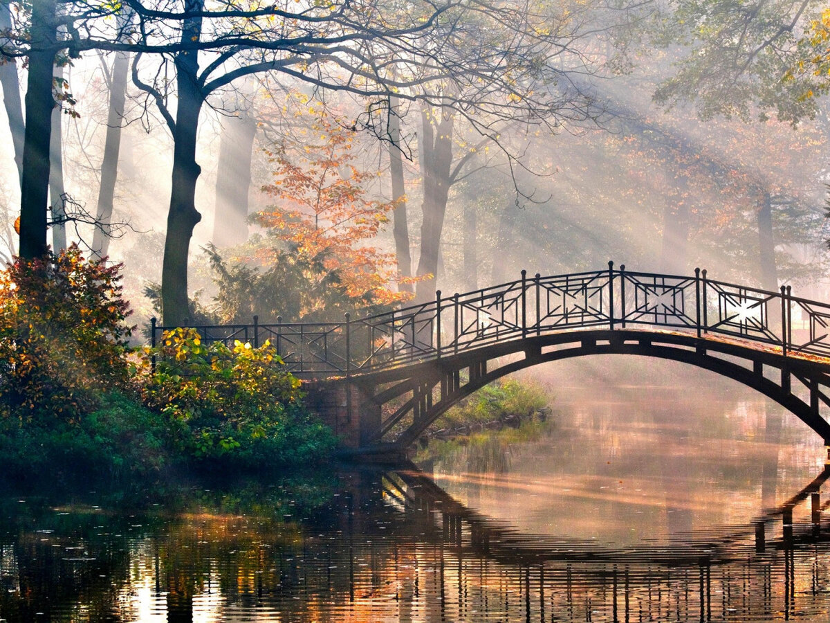 Ранние отношения с мамой дарят нам свою особенную и уникальную дорогу в мир.