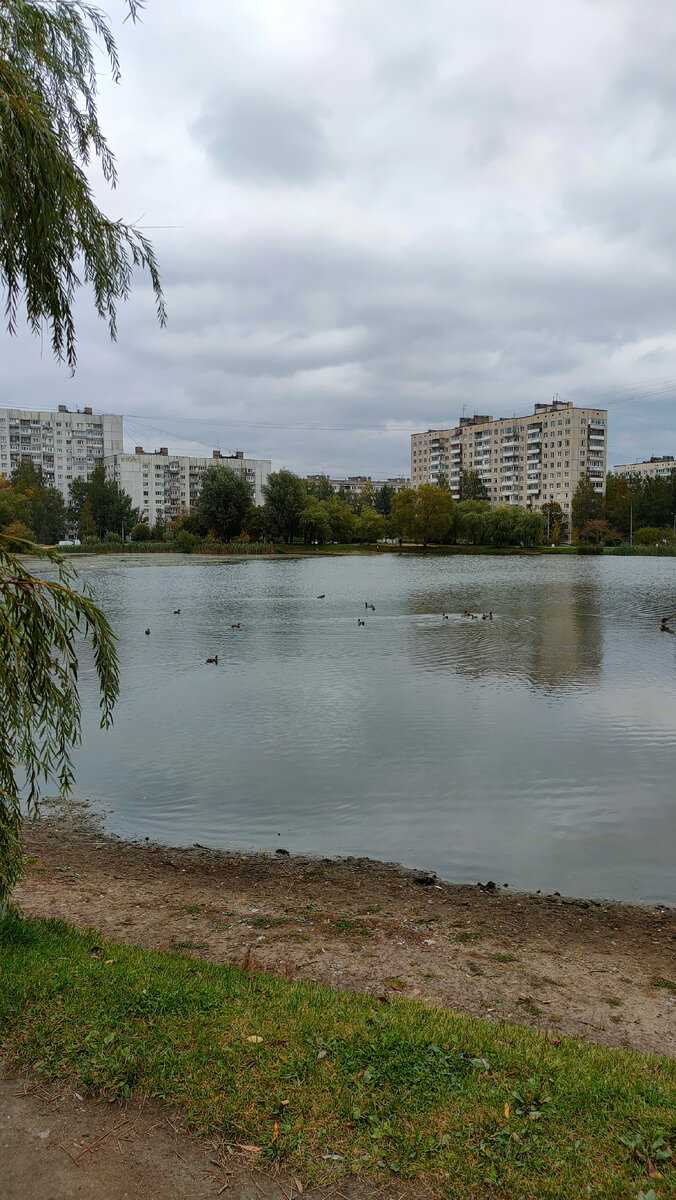 Фото автора 
