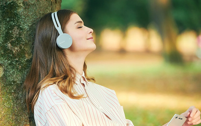 Из открытых источников Яндекса 