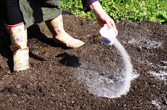 Фотография взята из источника yandex.ru