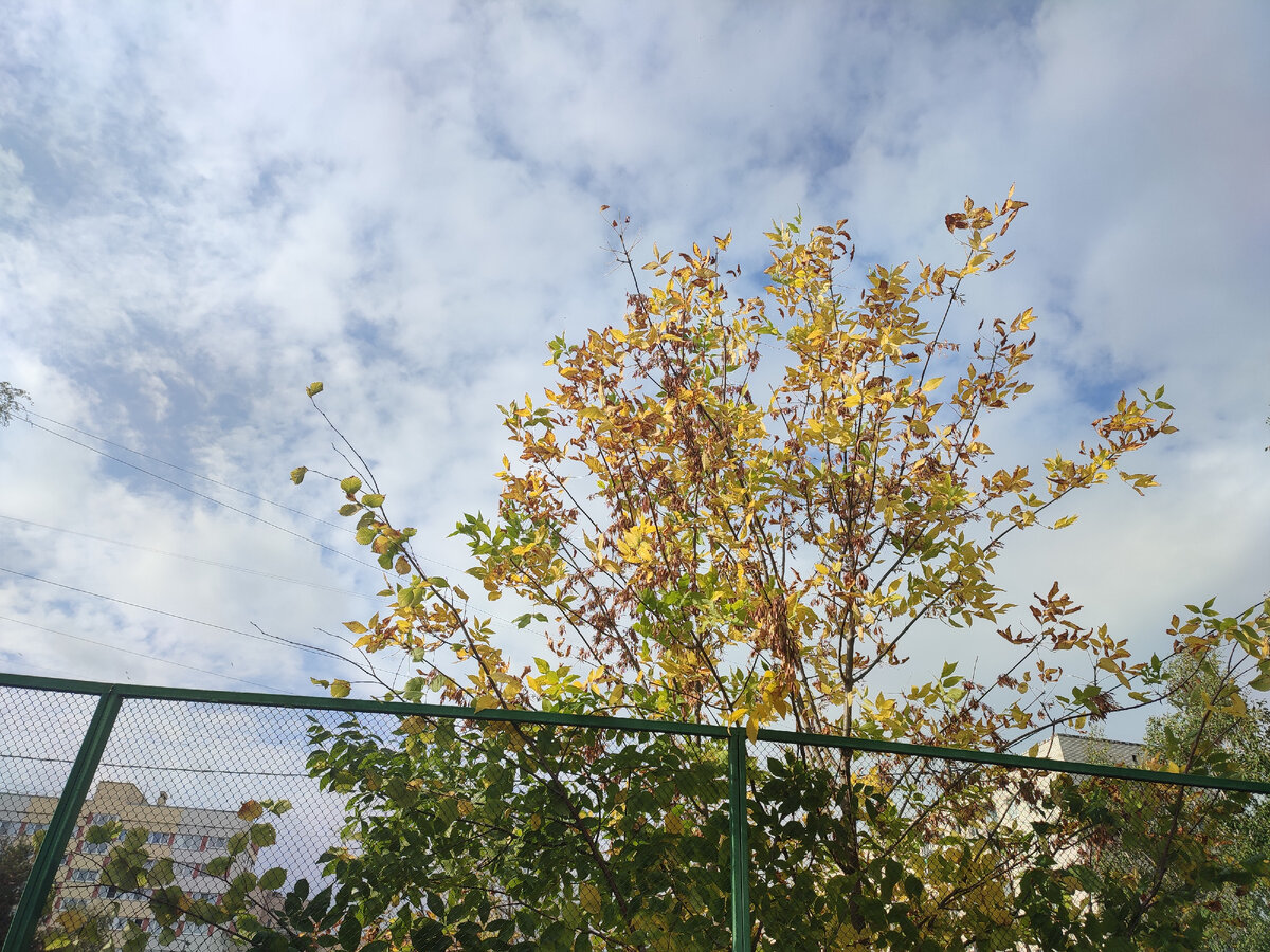 Фото автора канала. 1 фотография