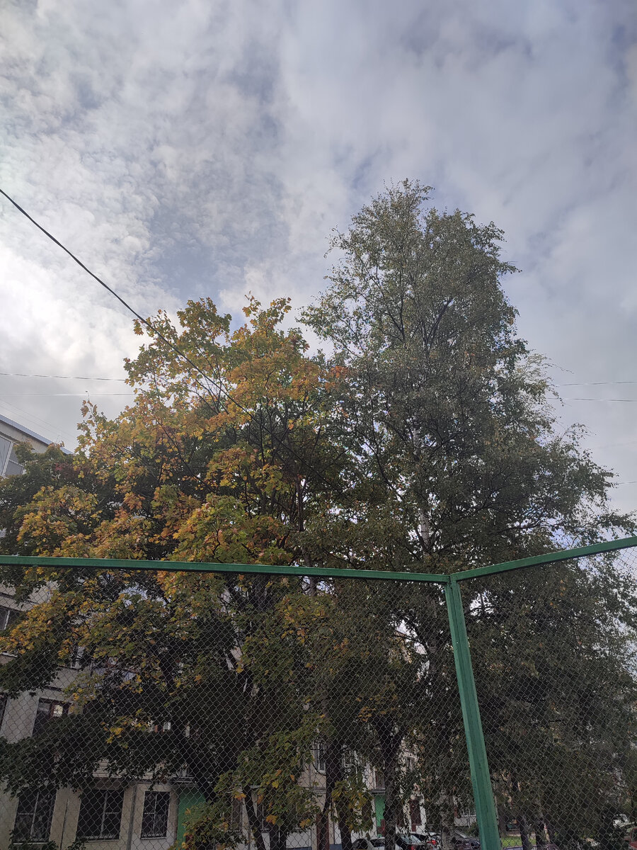 Фото автора канала 2 фотография 