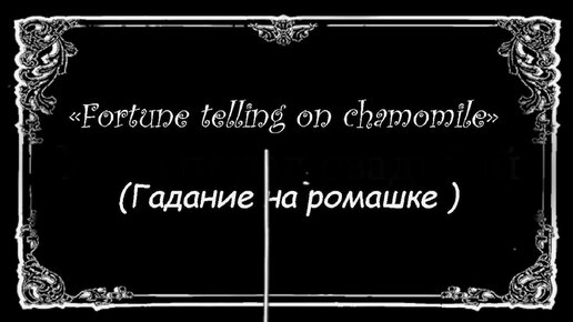 Гадание на ромашке. Трагикомедия