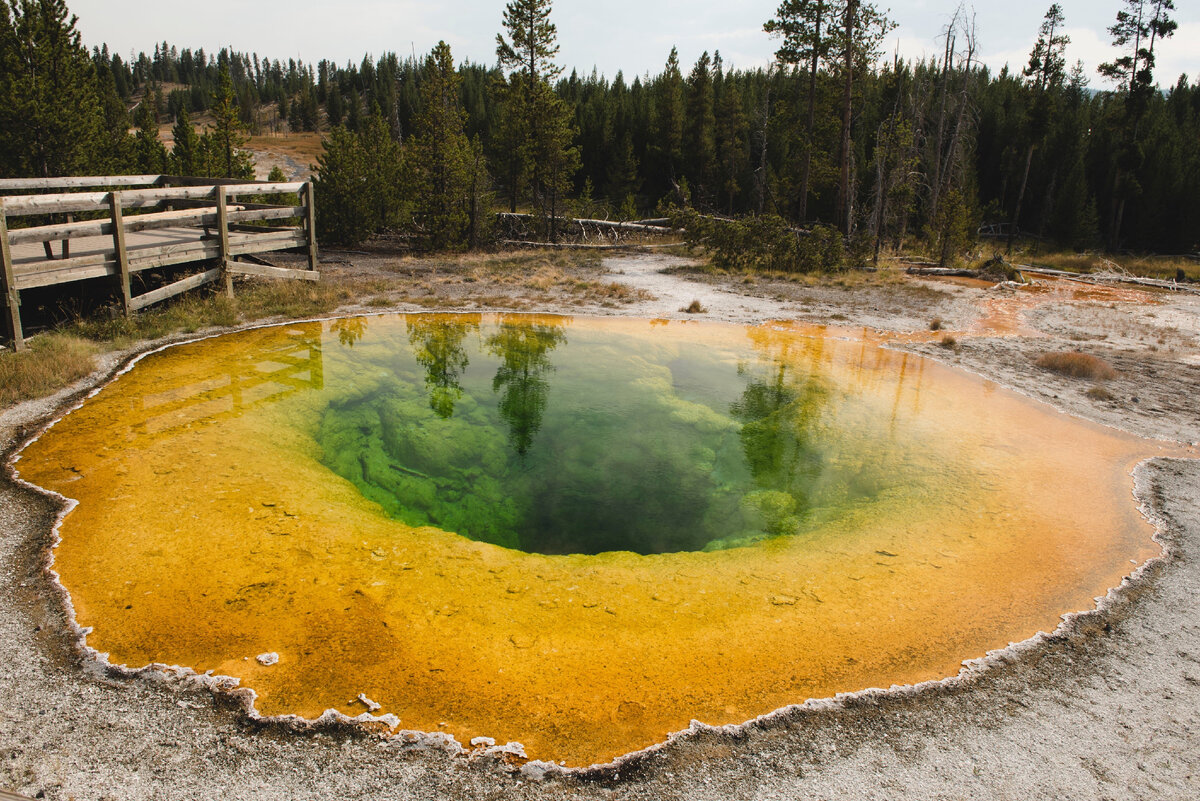 Йеллоустонский национальный парк (Liberty Cap in Yellowstone National Park, США). Фото
из личного архива автора.