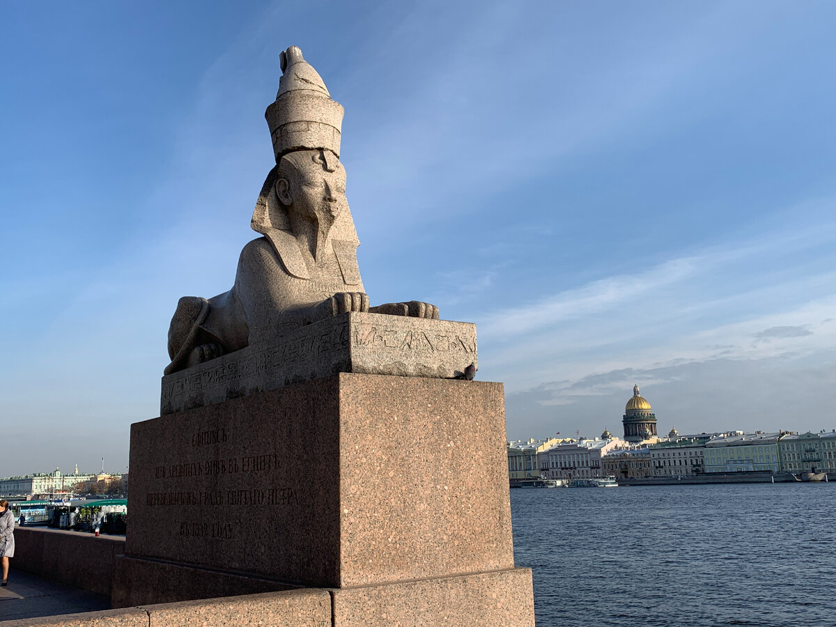 Сфинкс, Санкт-Петербург. Фото автора