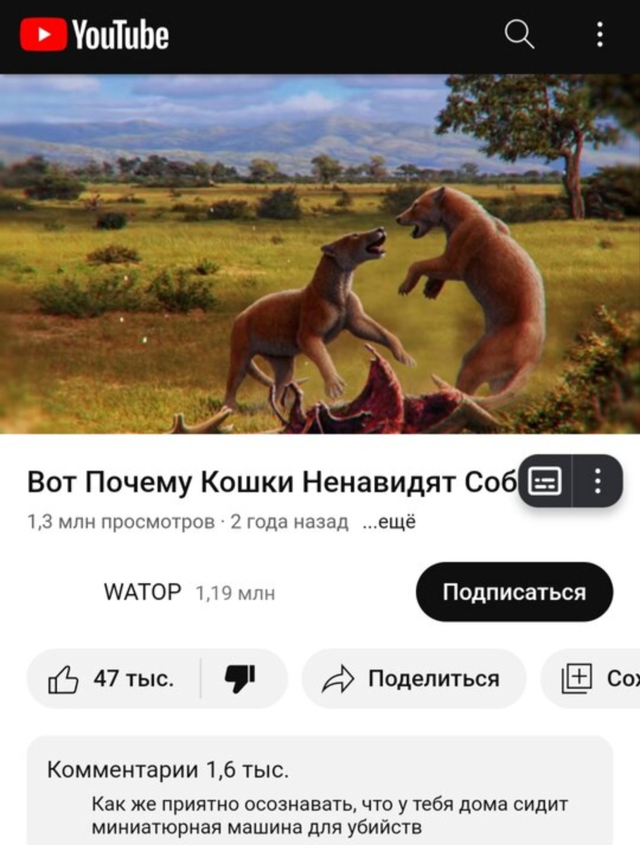 Ну тут просто обосрали пёселей!