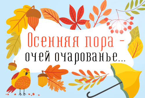 картинка из этих ваших интернетов