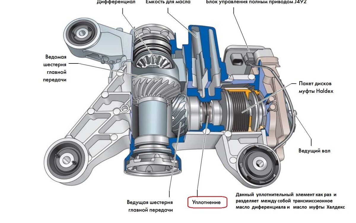 VW Пассат/Тигуан управляемая муфта полного привода Халдекс 4 и 5 -ого  поколения особенности работы и обслуживания .. | Автосервис Turbo Union  Москва | Дзен