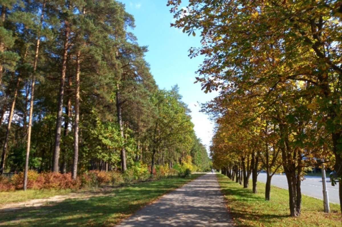    Осень запаздывает.