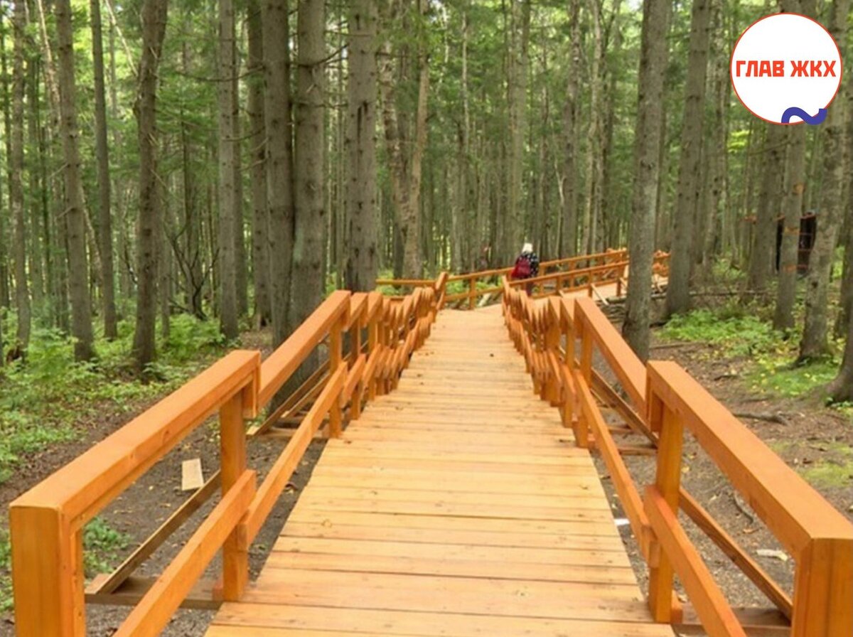 На Сахалине откроют Янтарный парк 